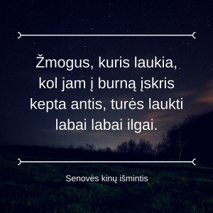 mogus, kuris laukia, kol jam į burną įskris kepta antis, turės laukti labai labai ilgai. (2)